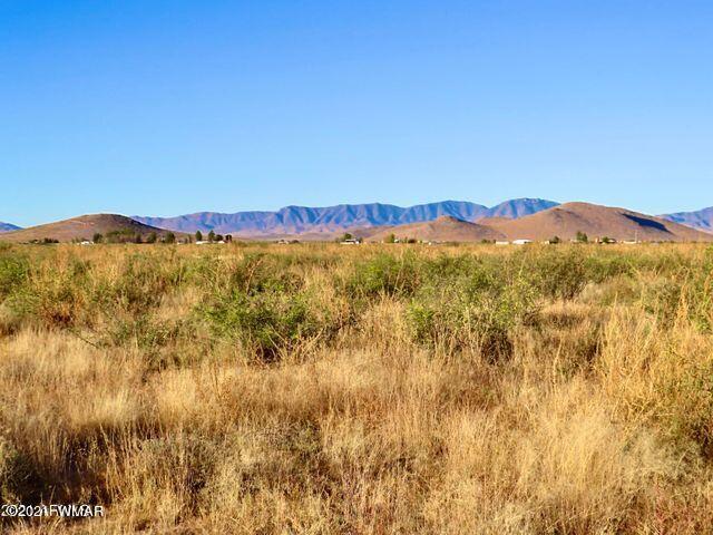 40.1 Acres Pearce Az 85625 Willcox, AZ 85643 - Photo 6 of 13 a view of an aerial view of mountain with trees
