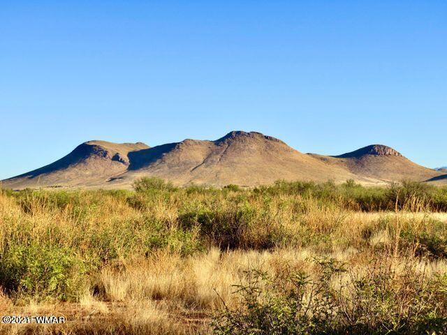 40.1 Acres Pearce Az 85625 Willcox, AZ 85643 - Photo 7 of 13 a view of mountain