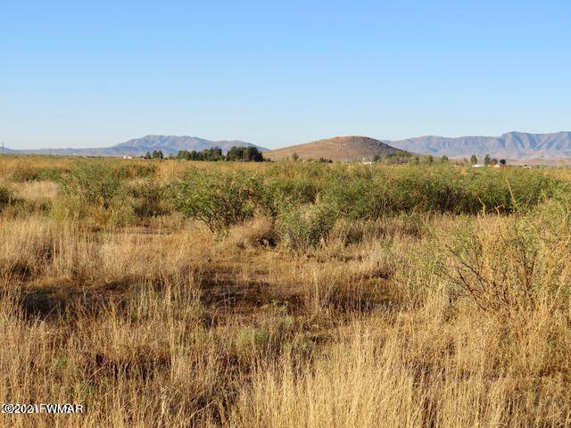 40.1 Acres Pearce Az 85625 Willcox, AZ 85643 - Photo 8 of 13 a view of lake and mountain