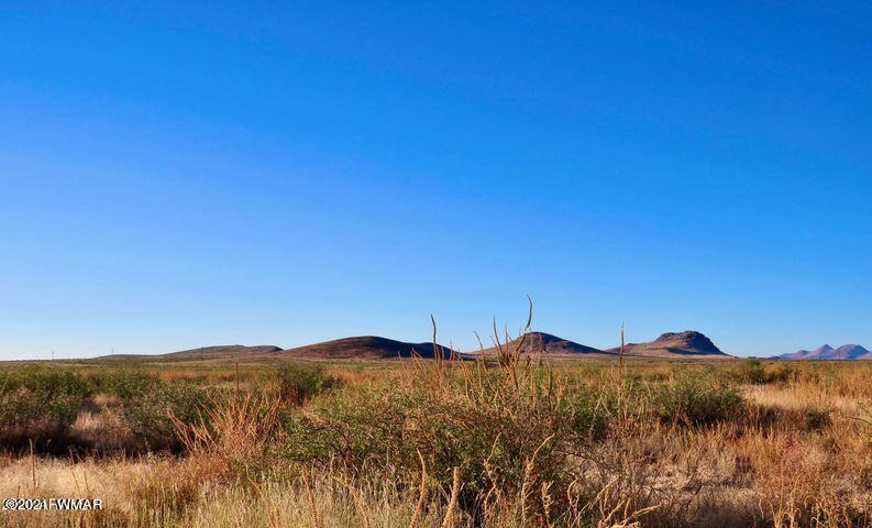 40.1 Acres Pearce Az 85625 Willcox, AZ 85643 - Photo 10 of 13 a view of a house with a mountain and a forest