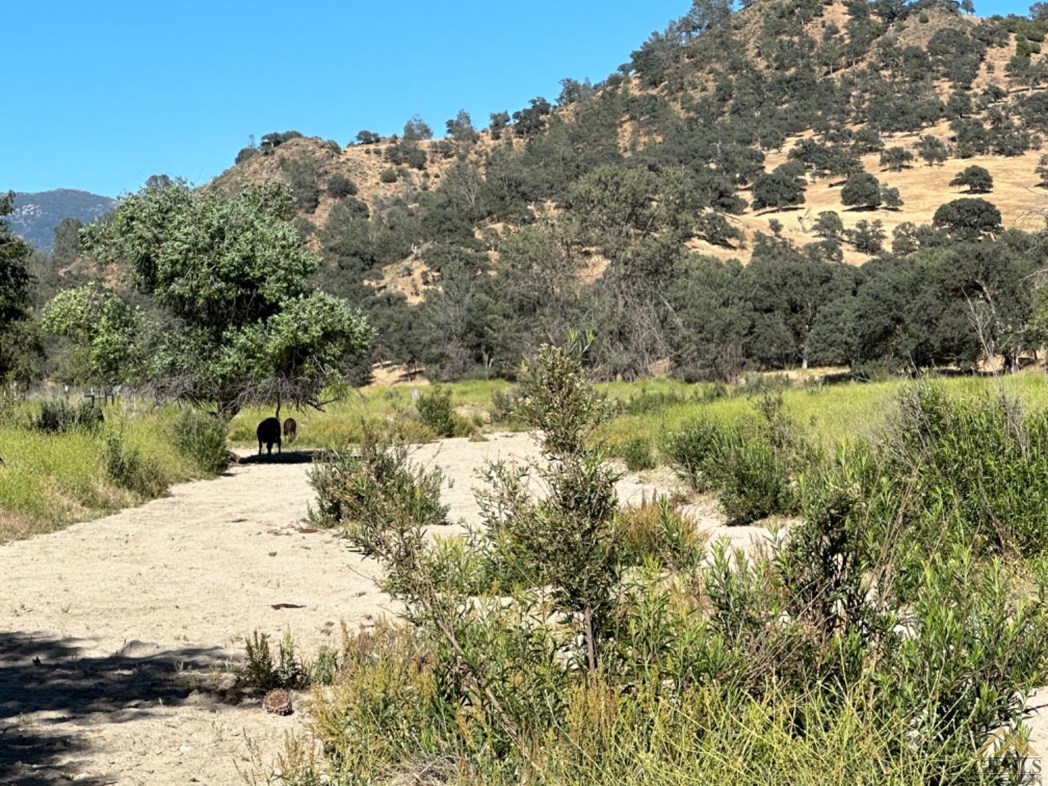 Undisclosed Address Caliente, CA 93518 - Photo 27 of 59 a view of a yard with a tree