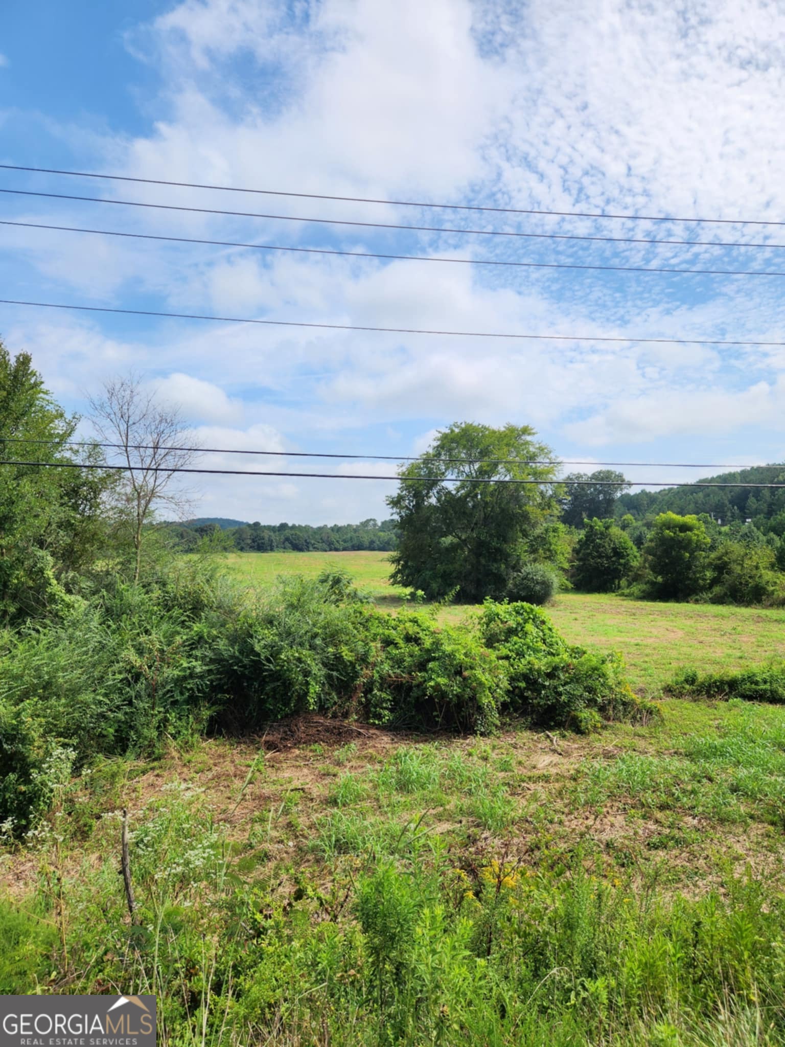 2280 Highway 27 LaFayette, GA 30728 - Photo 6 of 10 a view of a garden