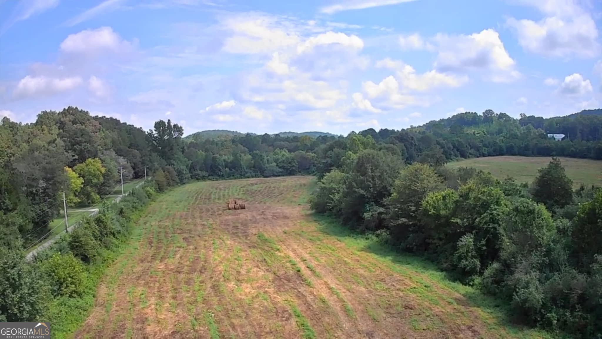 2280 Highway 27 LaFayette, GA 30728 - Photo 8 of 10 a view of a yard with a tree