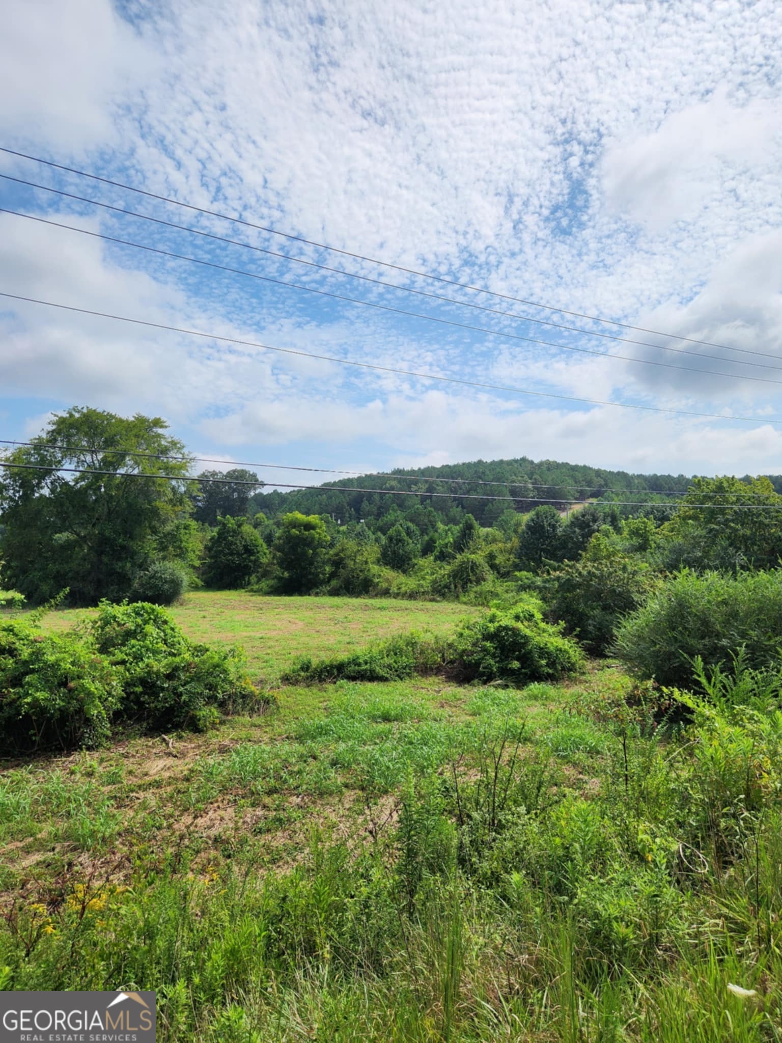 2280 Highway 27 LaFayette, GA 30728 - Photo 10 of 10 a view of a green field with lots of trees