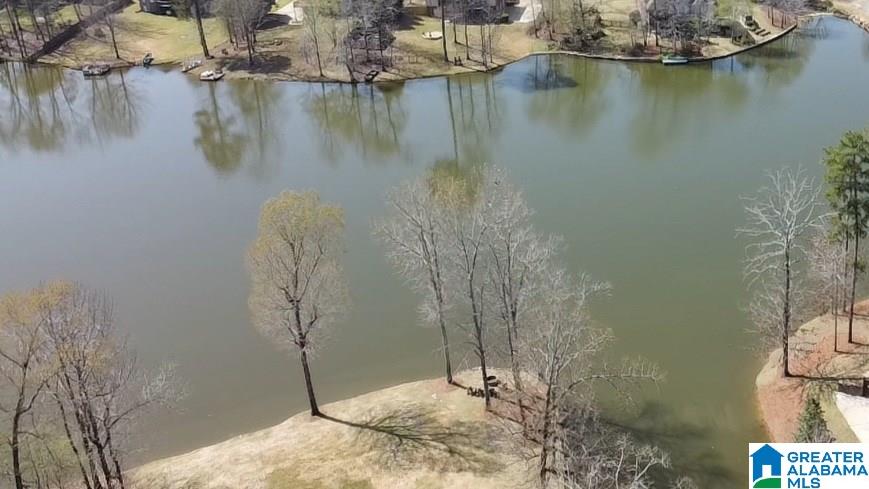 8454 Shoreside Lane, Unit LOT Helena, AL 35022 - Photo 1 of 4