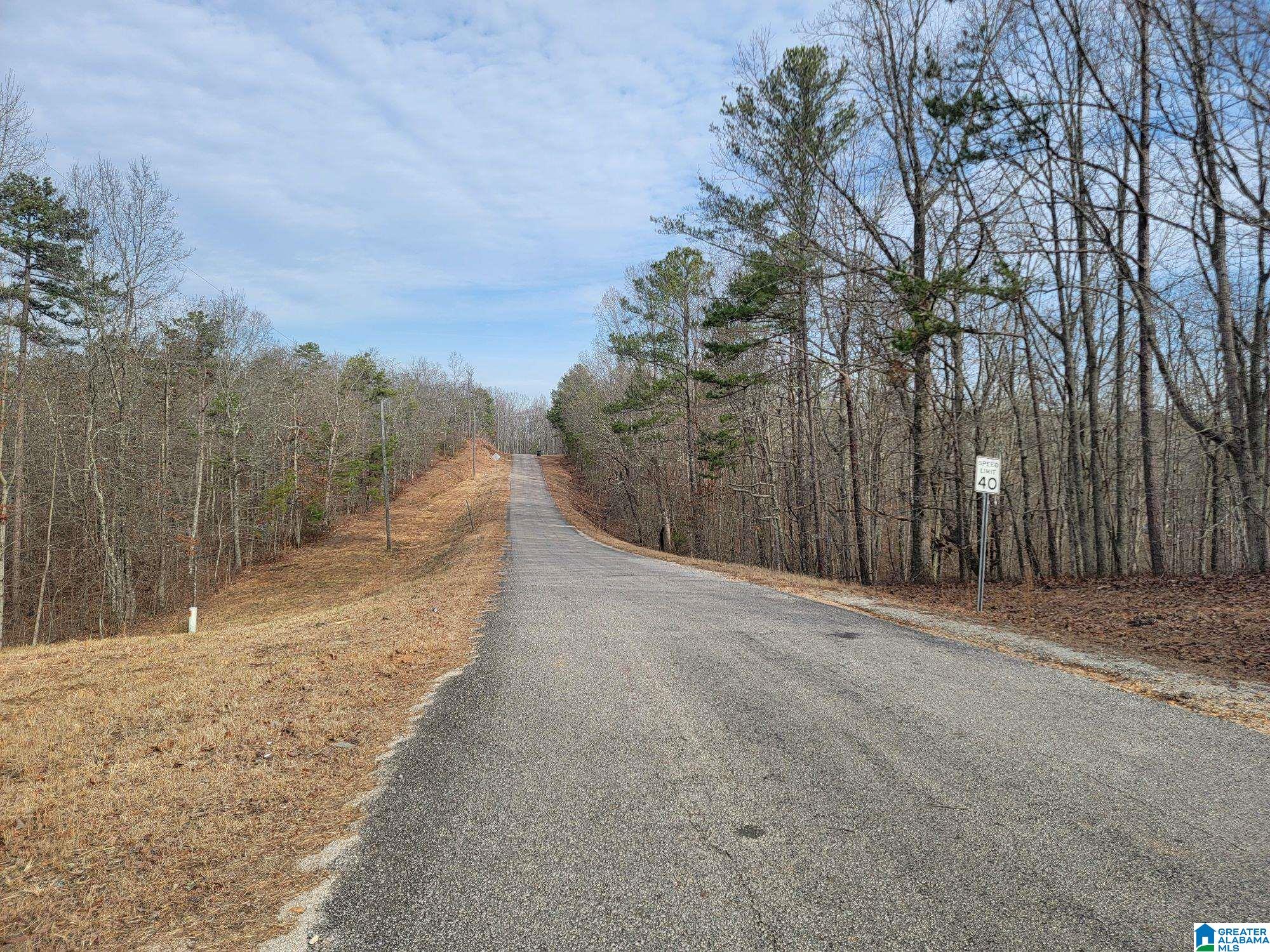 Lot 5 County Road 116, Unit 5 Heflin, AL 36264 - Photo 1 of 2