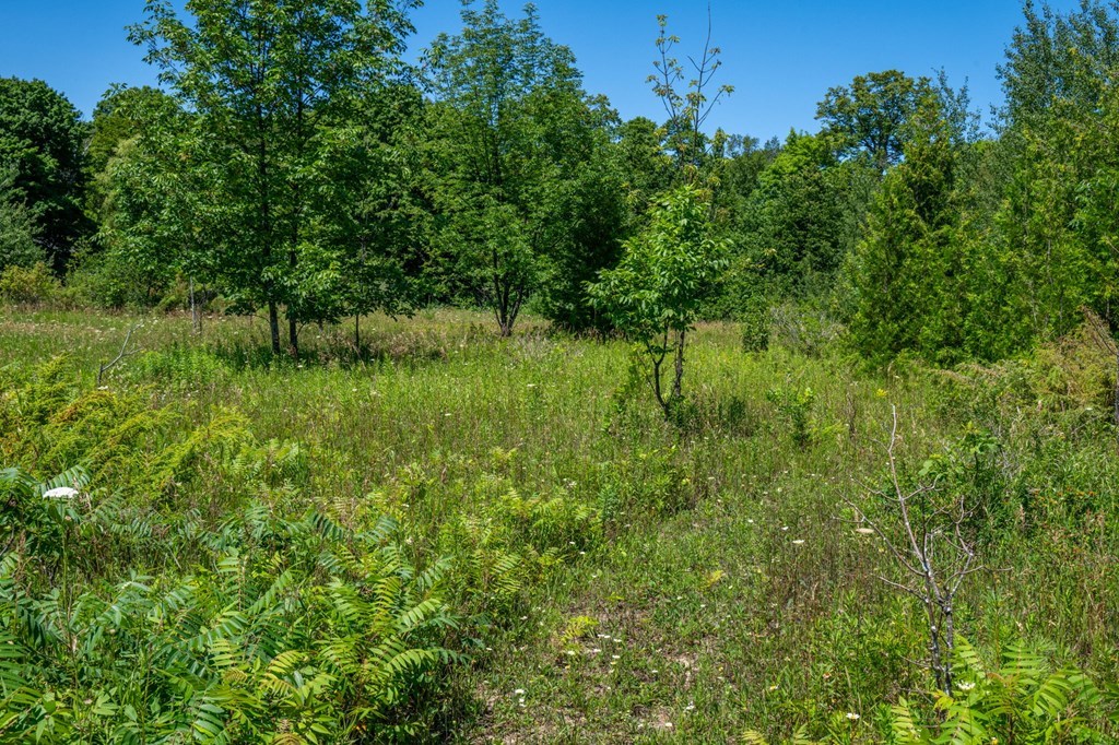 Lot Beach Beach Road Sister Bay, WI 54234 - Photo 21 of 27
