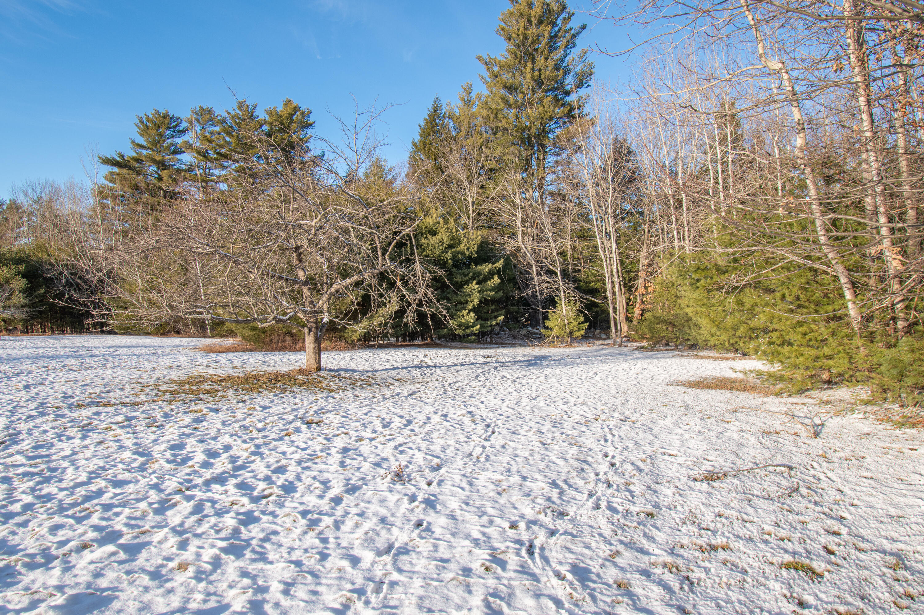 330 Scribner Hill Road Otisfield, ME 04270 - Photo 72 of 81 330ScribnerHillRd.Otistfield-78