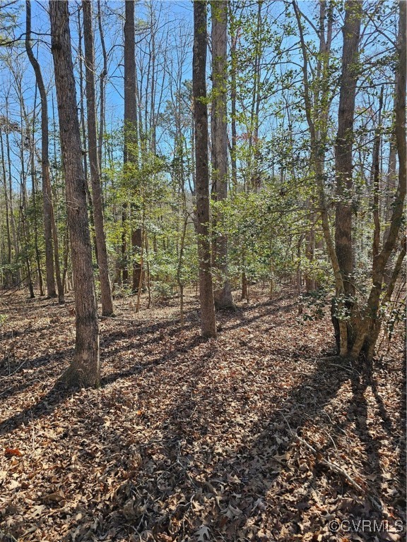 9021 Hickory Road Petersburg, VA 23803 - Photo 5 of 7 Secluded yet close