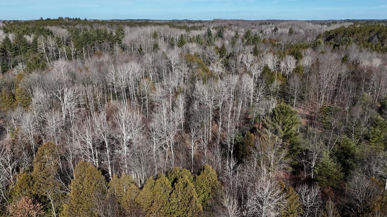 20334 11 Mile Road Leroy, MI 49655 - Photo 12 of 57 006b