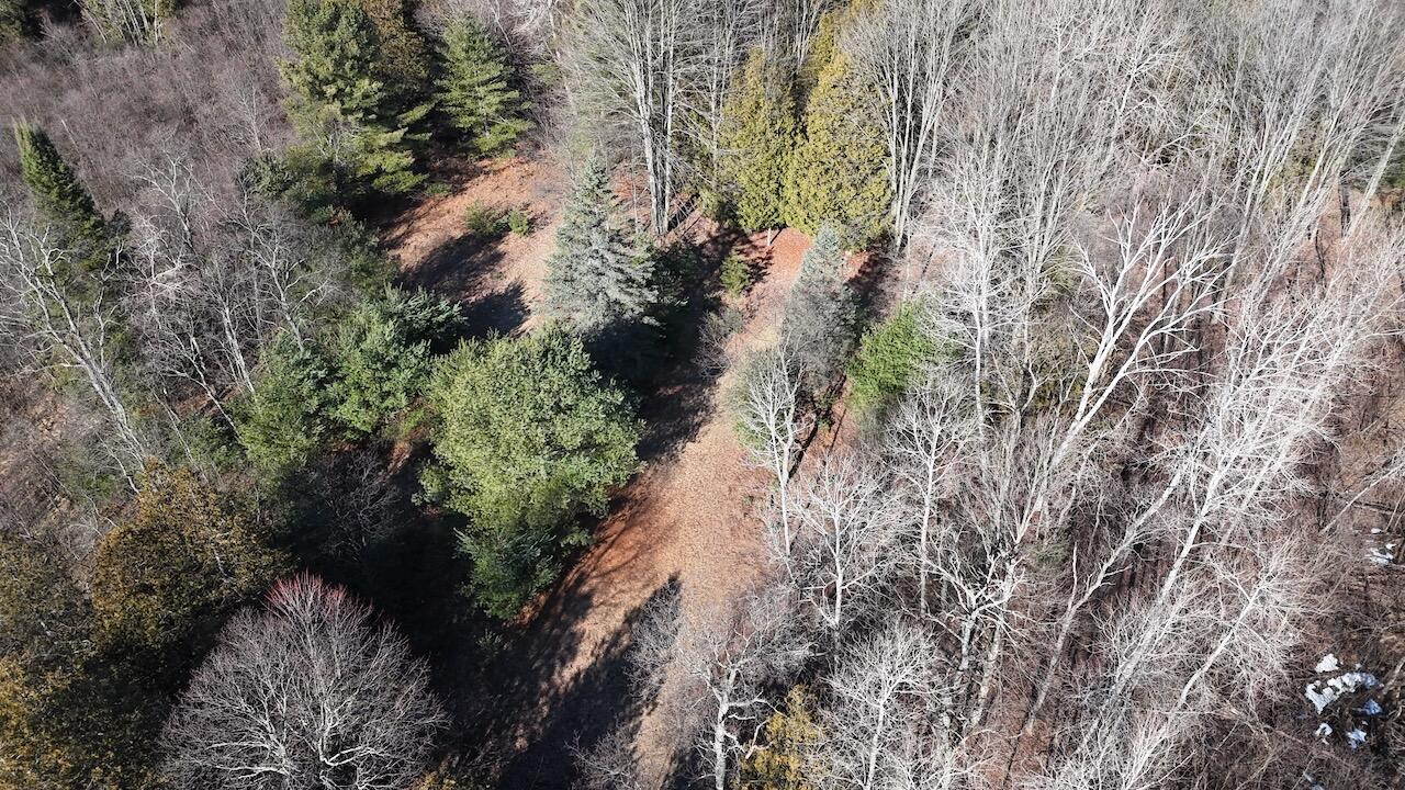 20334 11 Mile Road Leroy, MI 49655 - Photo 14 of 57 007a