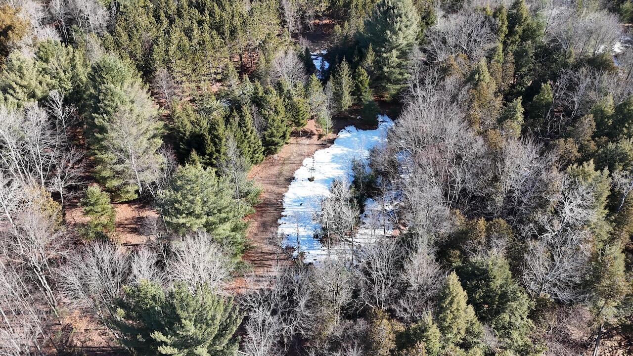 20334 11 Mile Road Leroy, MI 49655 - Photo 16 of 57 008