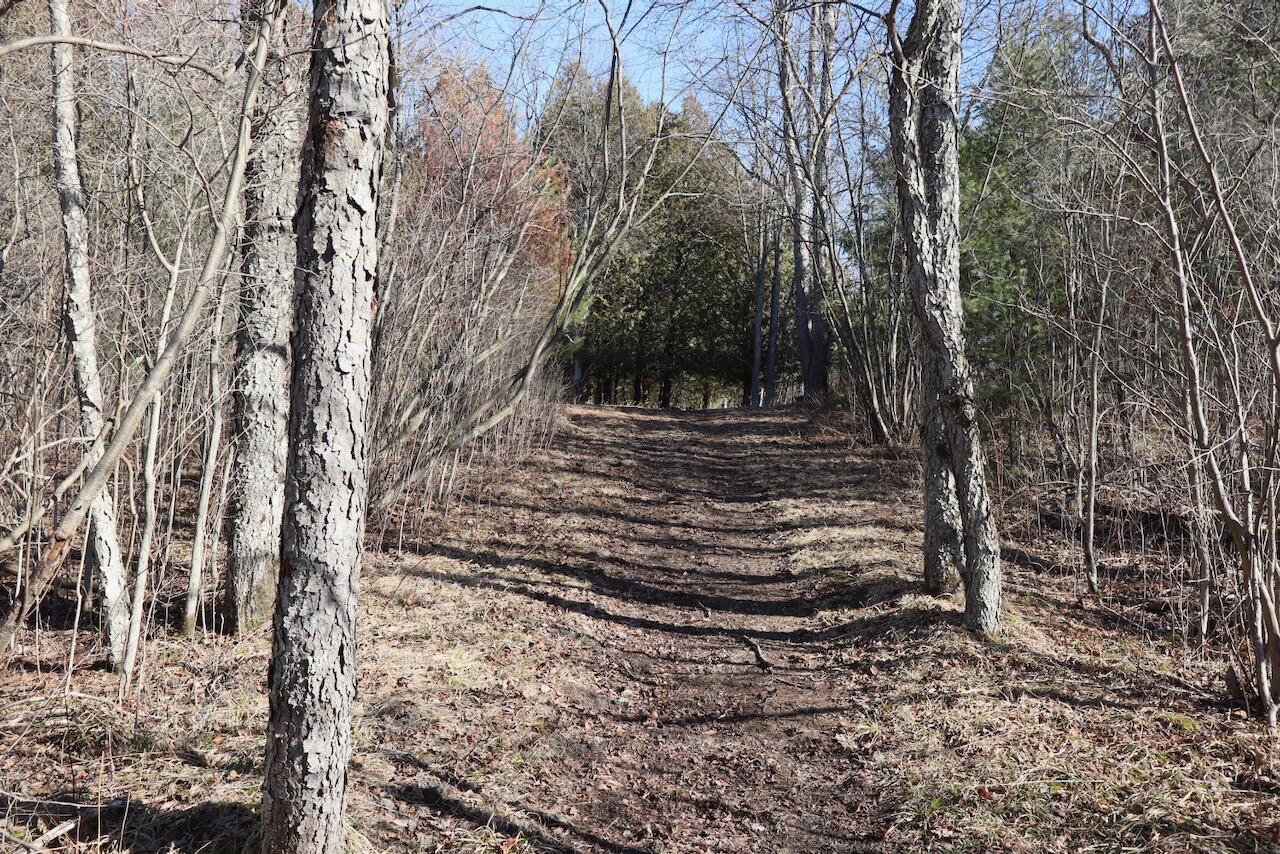 20334 11 Mile Road Leroy, MI 49655 - Photo 19 of 57 009