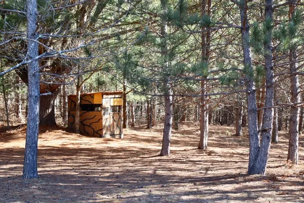 $359,000 | 20334 11 Mile Road, Leroy, MI 49655