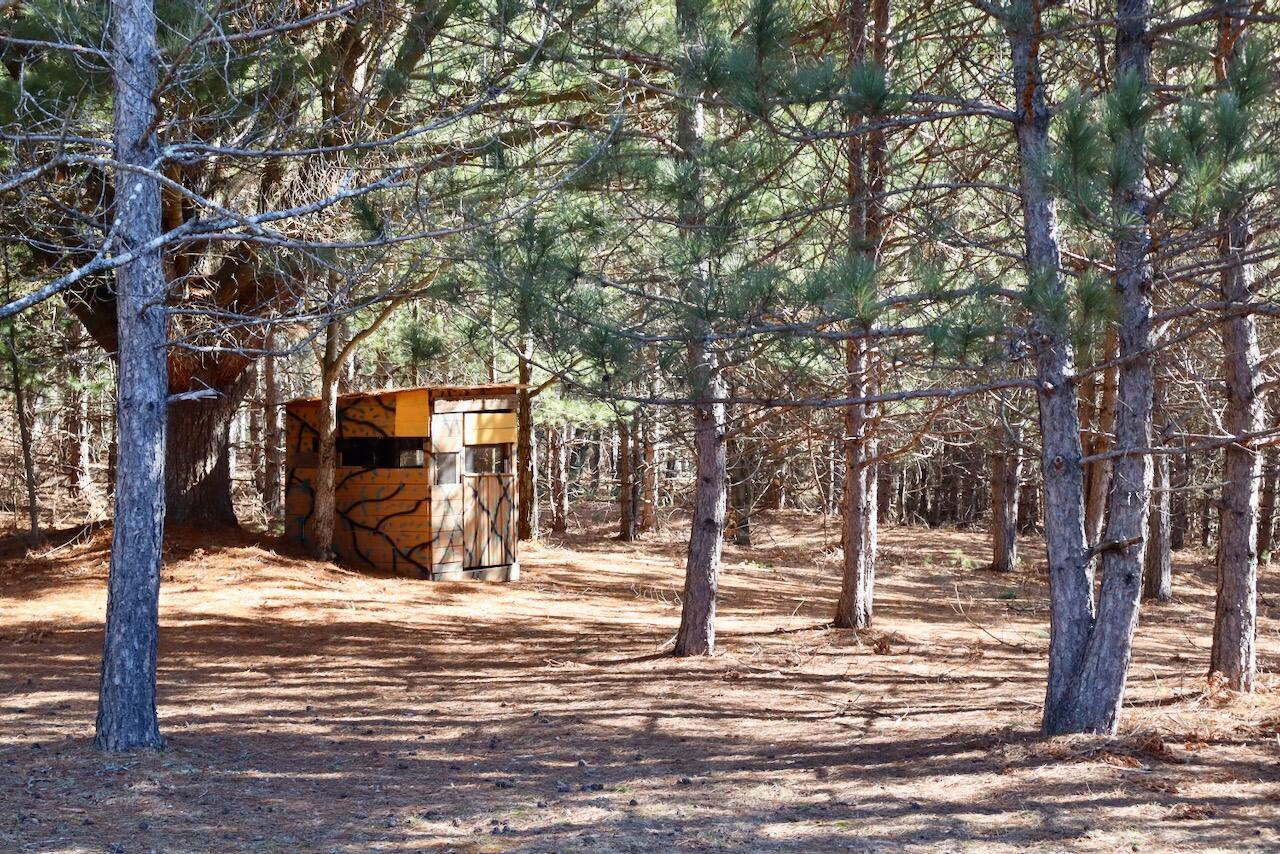 20334 11 Mile Road Leroy, MI 49655 - Photo 20 of 57 009a