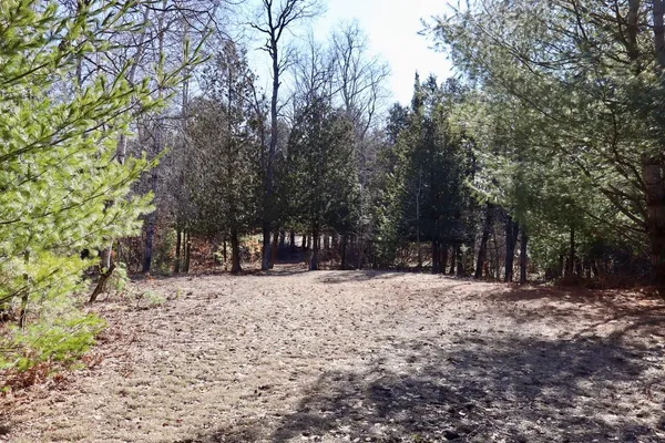 $359,000 | 20334 11 Mile Road, Leroy, MI 49655