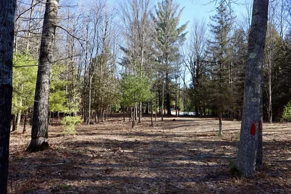$359,000 | 20334 11 Mile Road, Leroy, MI 49655