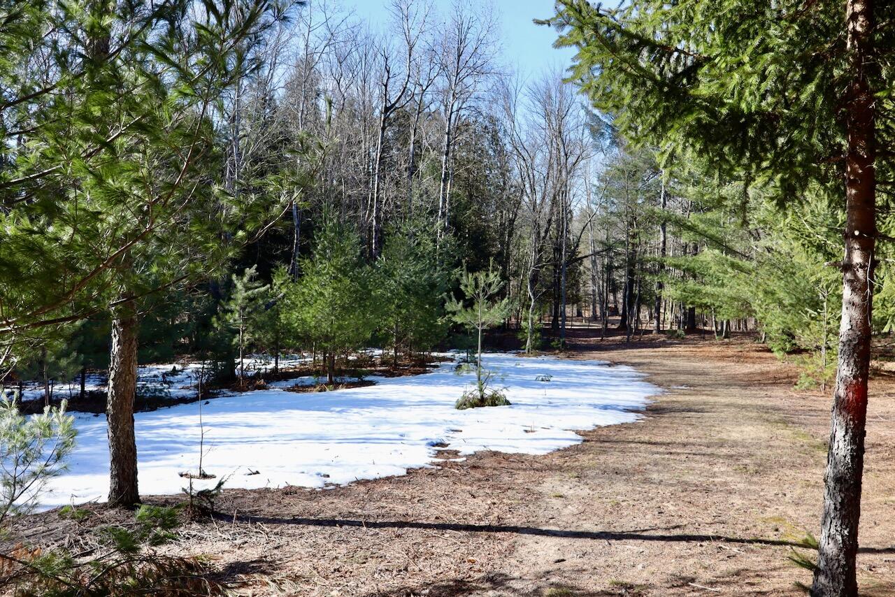 20334 11 Mile Road Leroy, MI 49655 - Photo 24 of 57 011