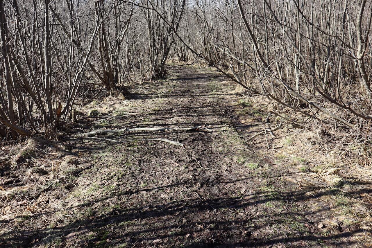 20334 11 Mile Road Leroy, MI 49655 - Photo 25 of 57 011a