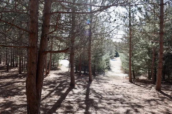 $359,000 | 20334 11 Mile Road, Leroy, MI 49655