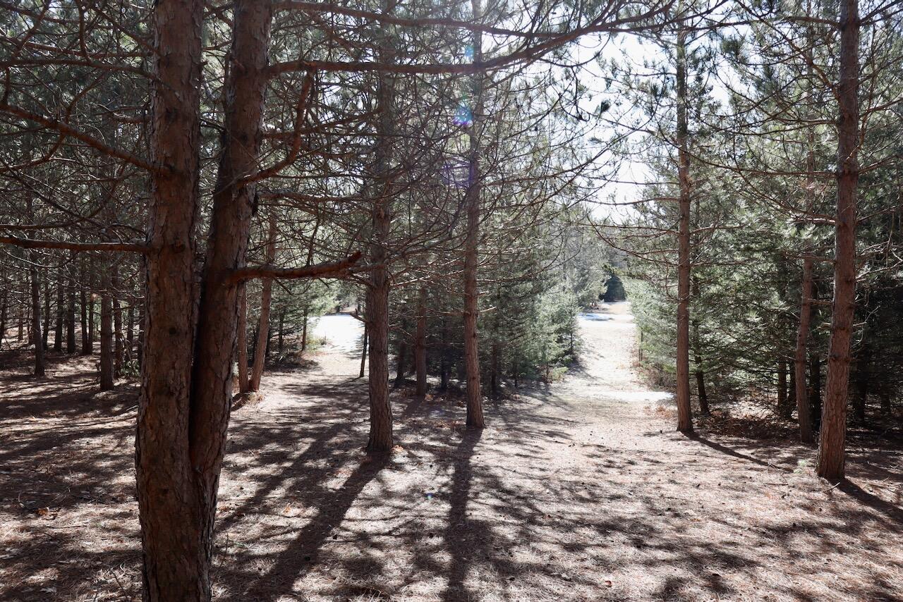 20334 11 Mile Road Leroy, MI 49655 - Photo 26 of 57 012