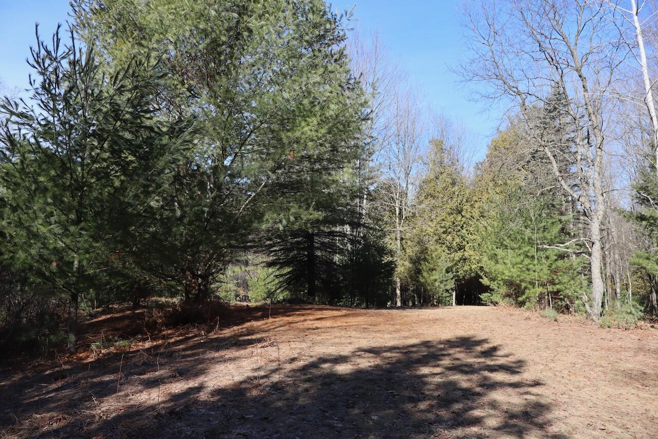 20334 11 Mile Road Leroy, MI 49655 - Photo 28 of 57 015