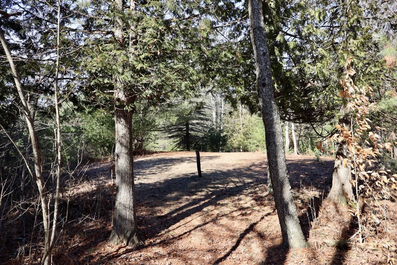 20334 11 Mile Road Leroy, MI 49655 - Photo 29 of 57 015a