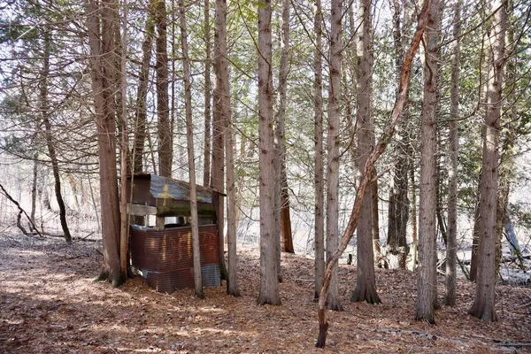 $359,000 | 20334 11 Mile Road, Leroy, MI 49655