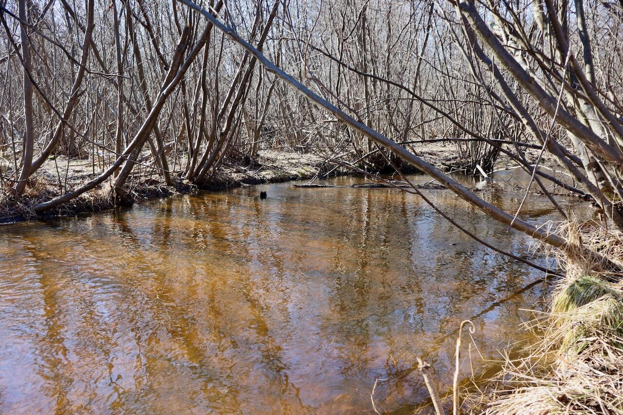 20334 11 Mile Road Leroy, MI 49655 - Photo 3 of 57 002a