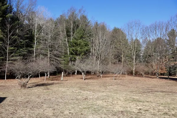 $359,000 | 20334 11 Mile Road, Leroy, MI 49655