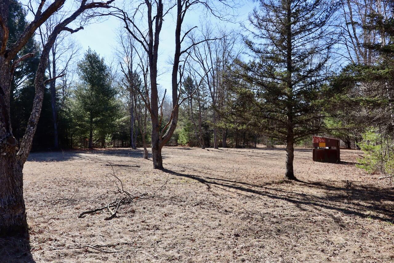 20334 11 Mile Road Leroy, MI 49655 - Photo 5 of 57 004