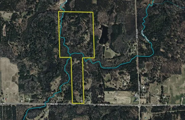 $359,000 | 20334 11 Mile Road, Leroy, MI 49655