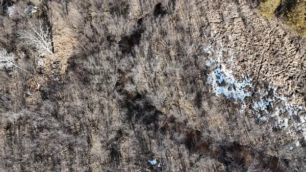 $359,000 | 20334 11 Mile Road, Leroy, MI 49655