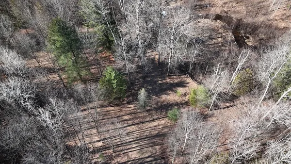 $359,000 | 20334 11 Mile Road, Leroy, MI 49655