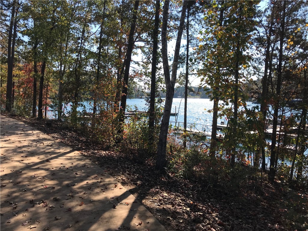 Lot 64 Falling Waters Lane Seneca, SC 29672 - Photo 11 of 13 Convenient Boat Slip Access