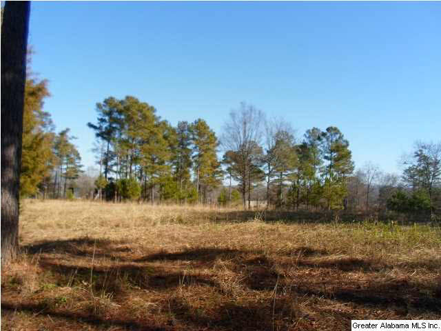961 Airport Road, Unit 1 Eastaboga, AL 36260 - Photo 6 of 6