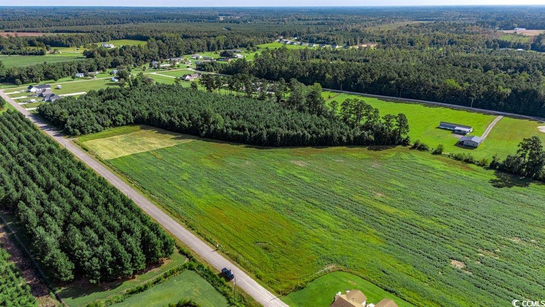 Tbd Mack Road Conway, SC 29526 - Photo 3 of 5