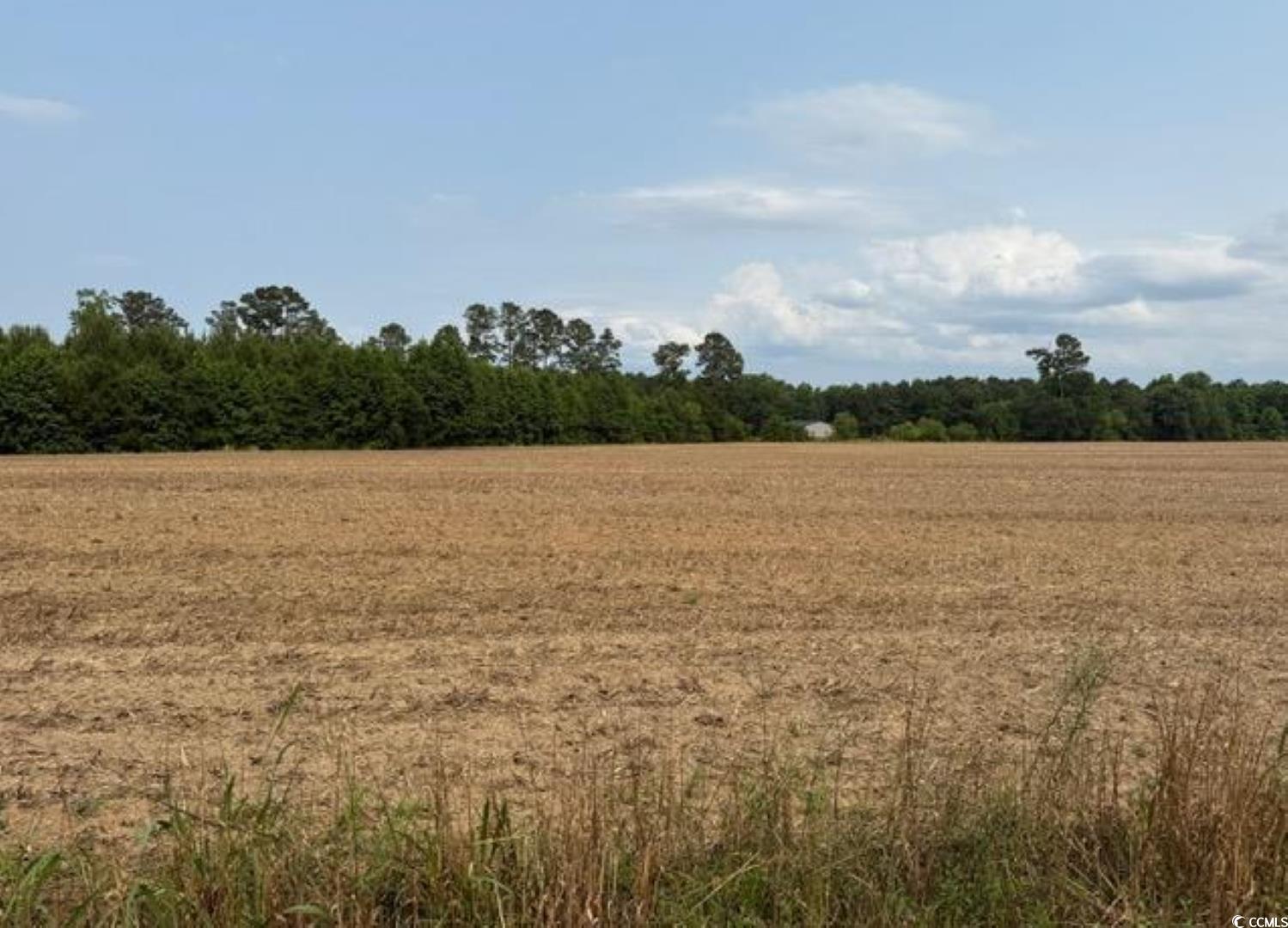 Tbd Mack Road Conway, SC 29526 - Photo 4 of 5