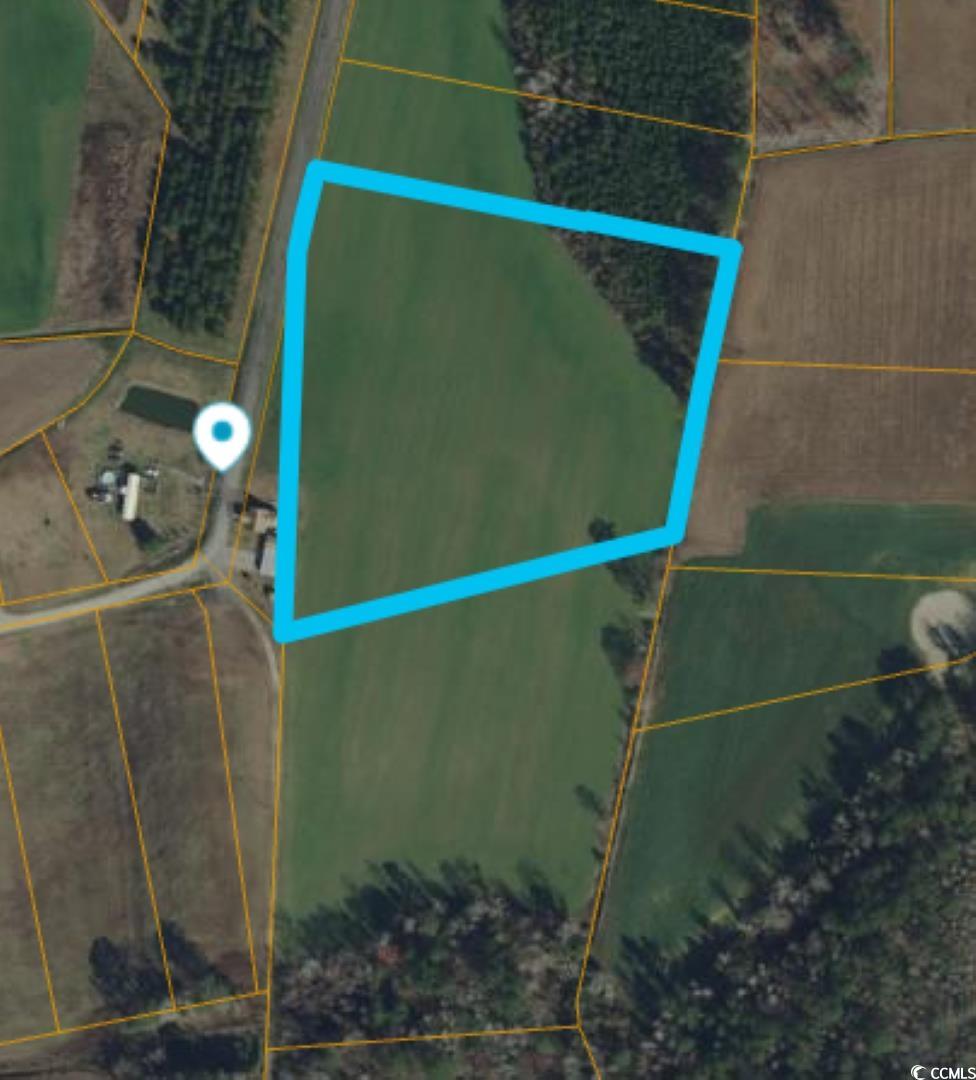 Tbd Mack Road Conway, SC 29526 - Photo 5 of 5