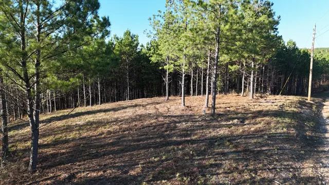 a view of outdoor space with trees