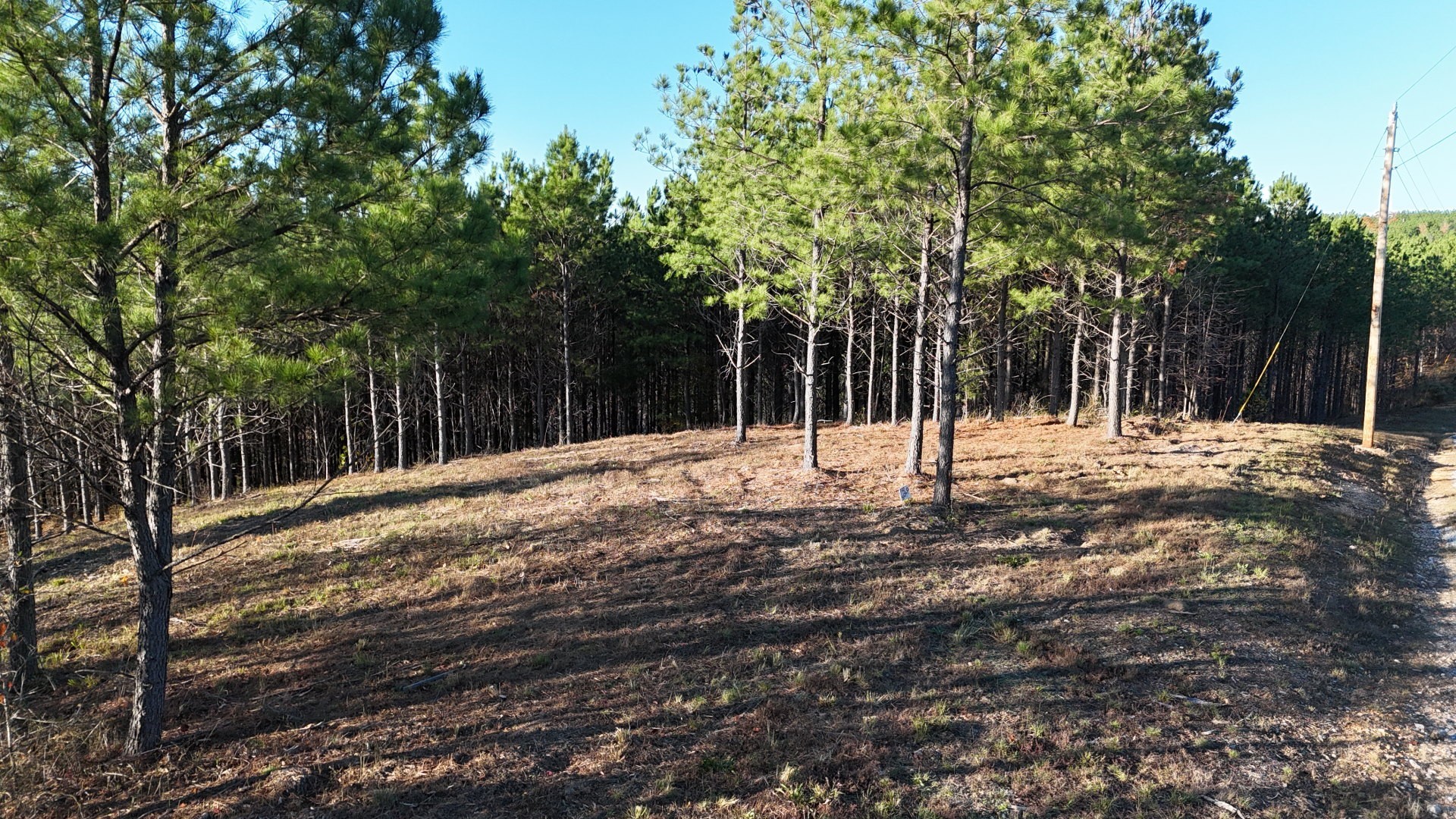 252 Streamside Drive Linden, TN 37096 - Photo 2 of 14