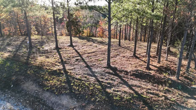 a view of a yard with large trees