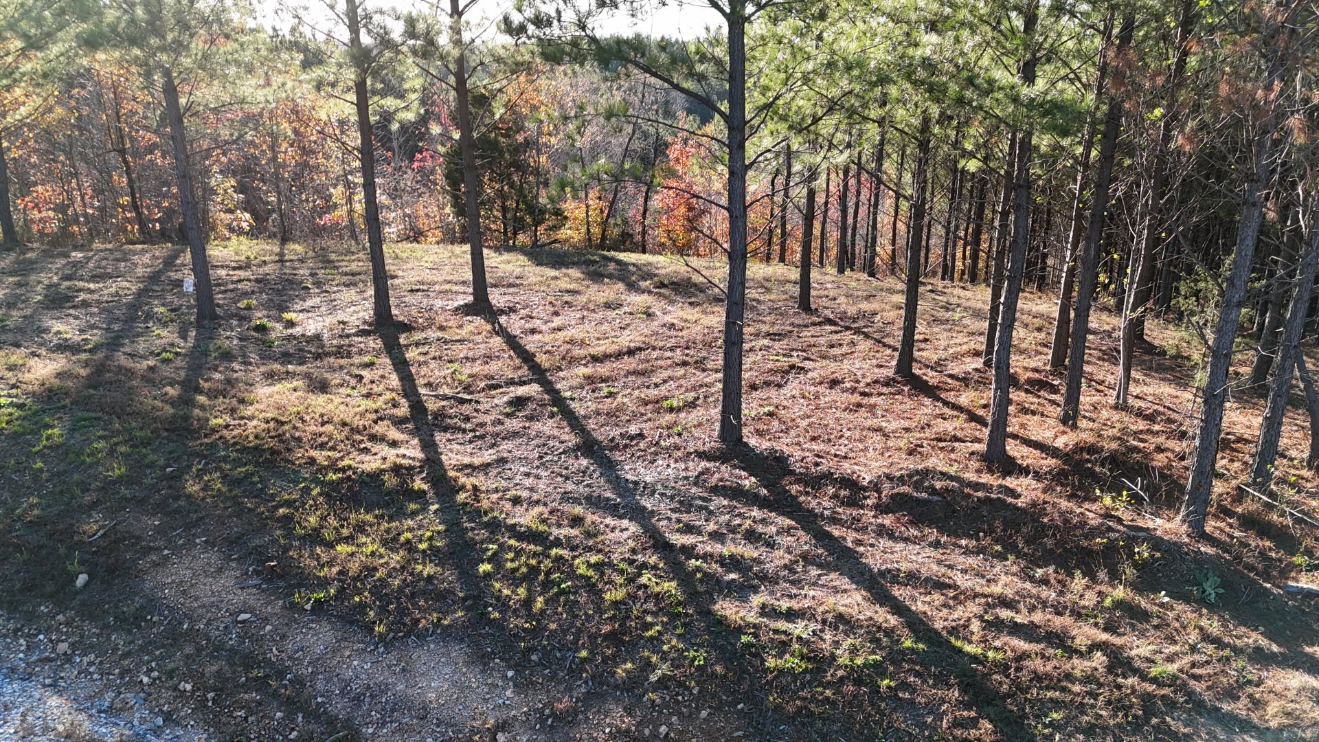 252 Streamside Drive Linden, TN 37096 - Photo 3 of 14