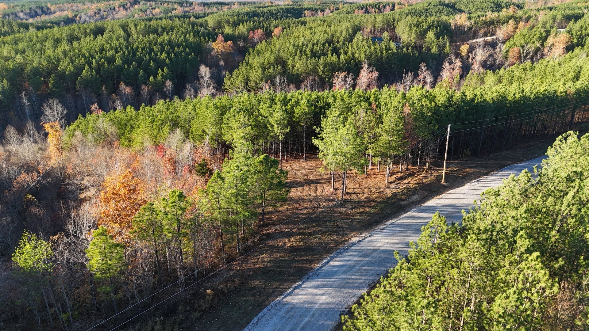 252 Streamside Drive Linden, TN 37096 - Photo 5 of 14