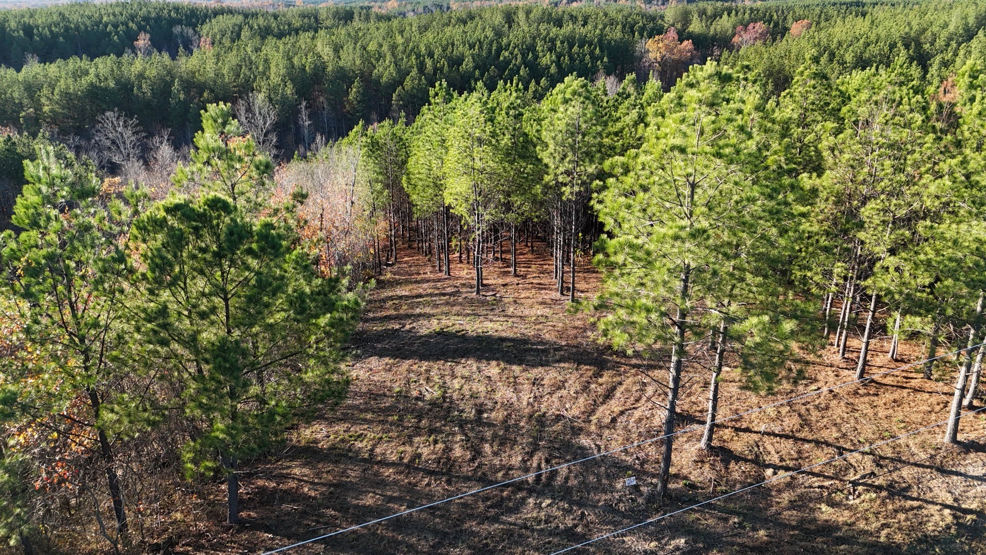 252 Streamside Drive Linden, TN 37096 - Photo 6 of 14