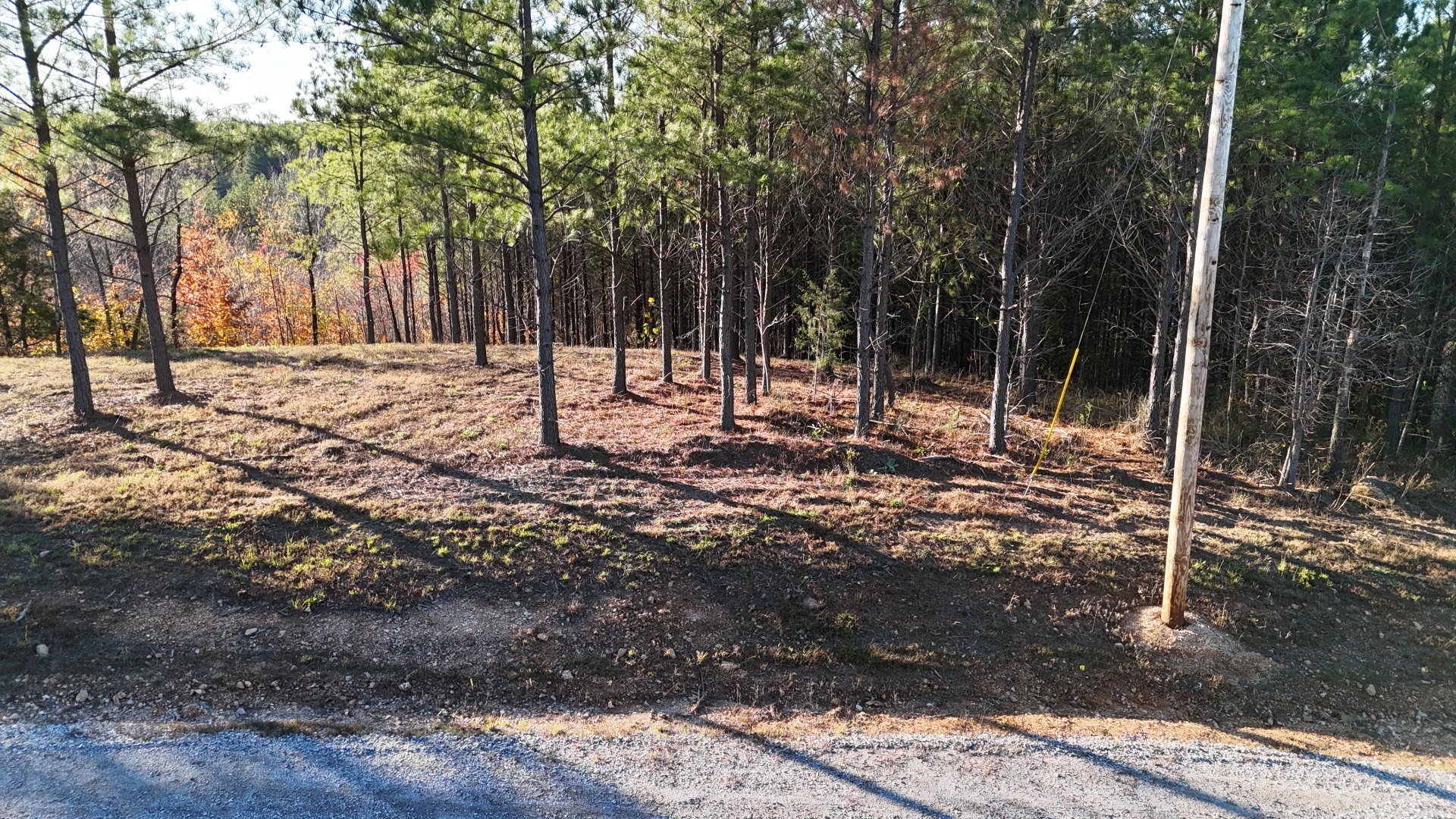 252 Streamside Drive Linden, TN 37096 - Photo 7 of 14