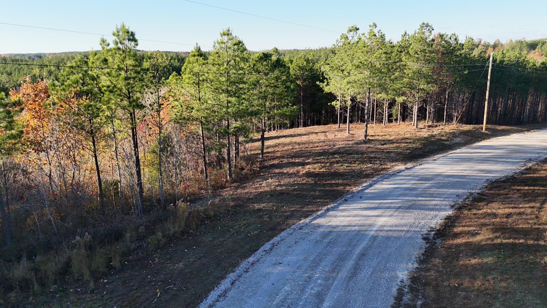 252 Streamside Drive Linden, TN 37096 - Photo 8 of 14