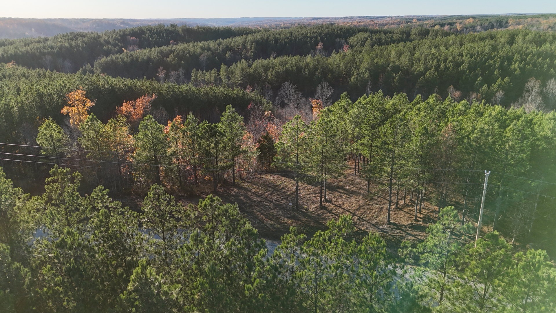 252 Streamside Drive Linden, TN 37096 - Photo 9 of 14