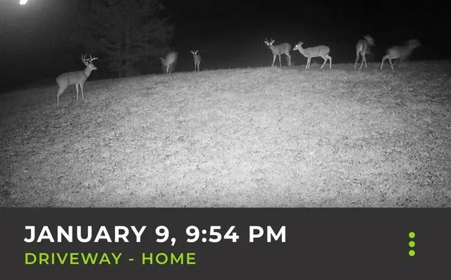 a black and white photo of a book