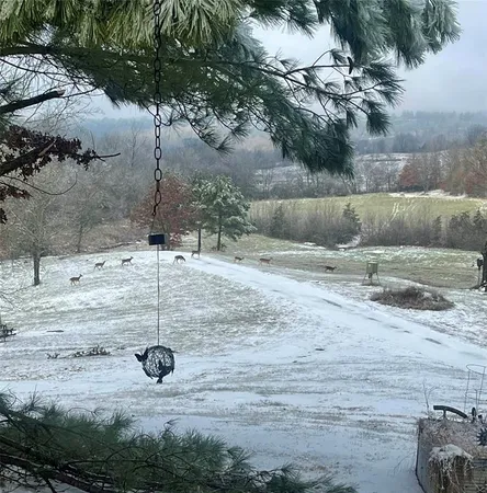 $614,900 | 150 Twin Creeks Lane, Lockesburg, AR 71846